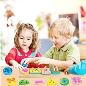 Montessori Wooden Sorting and stacking Toys for Kids